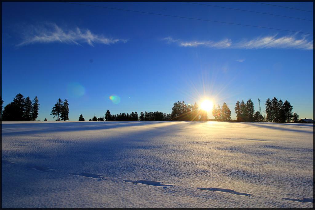 Vila Oduo Sart-lez-Spa Exteriér fotografie
